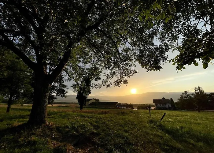 Joli Paisible * Corcelles-sur-Chavornay