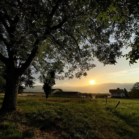 Joli Paisible * Corcelles-sur-Chavornay